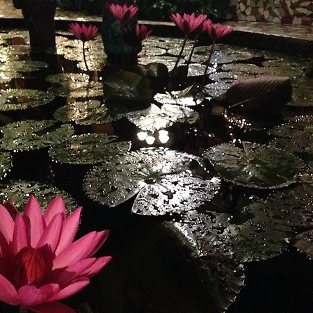 Bed and Breakfast The Lotus Garden Puerto Princesa Exterior foto