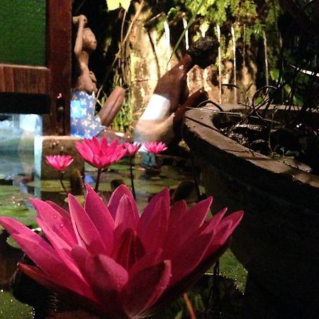 Bed and Breakfast The Lotus Garden Puerto Princesa Exterior foto